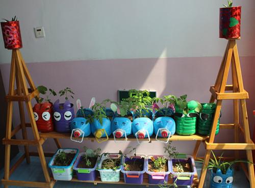研究幼儿园美术活动中引入植物创意运用