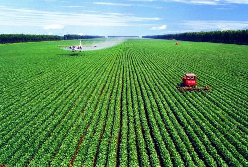 浅析四川生态农业的发展现状和前景,四川何炬生态农业发展有限公司怎么样？