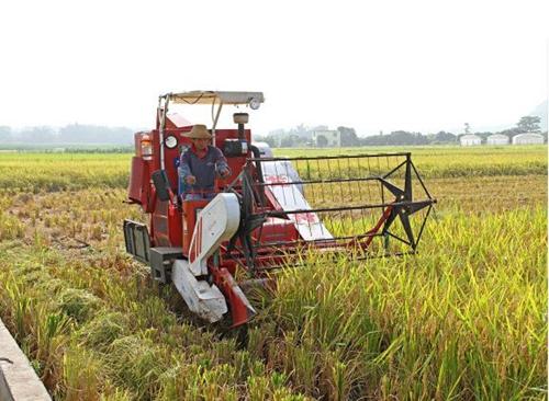 大型直升飞机全程承包防治水稻病虫害的实践,水稻不同时期的病虫害防治