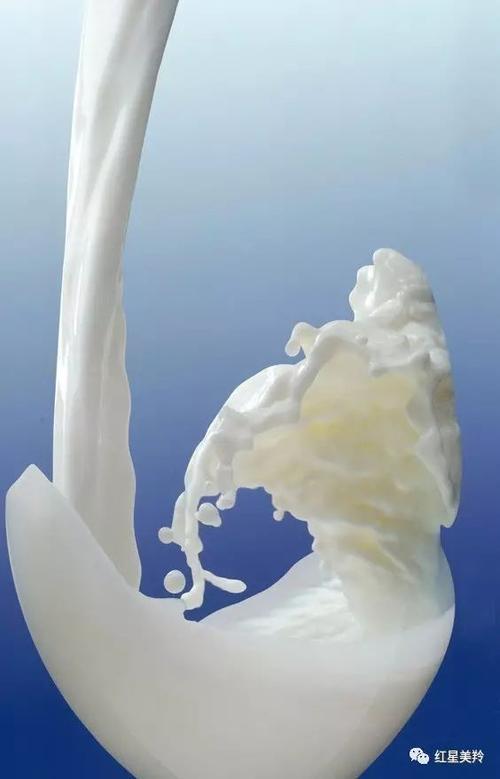 羊乳制品公司战略规划探析