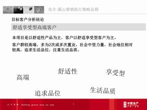 兆丰产品营销策略改进方案