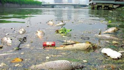 农村水环境污染的问题及解决措施