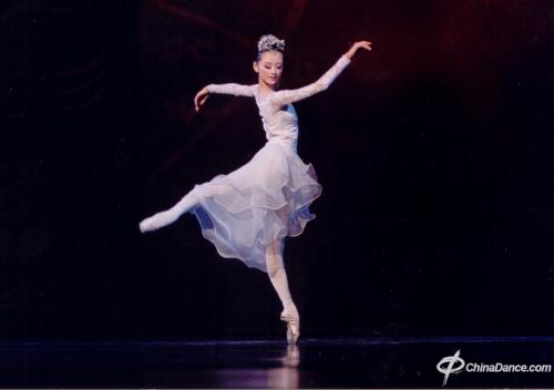 浅析中国芭蕾舞蹈教学现状