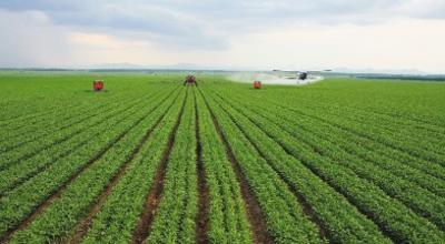 黑龙江省绥化市农业发展的建议