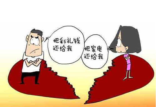 分析质证权在我国民事诉讼存在的问题和成因及解决对策