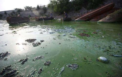 农村地区水资源污染问题与应对策略
