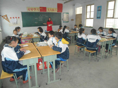 如何在小学教学开展小组学习