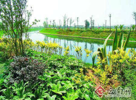 浅析乡土植物在园林绿化中的运用