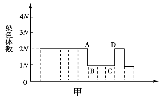 探讨男性染色体结构与数目异常