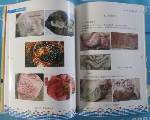 基于猪的病理剖检技术诊断猪病病理原因,猪疾病的完整集合是什么？