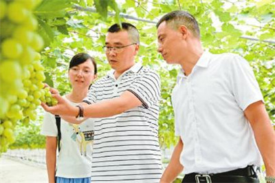 农业推广过程中农民的心理状况的分析与探讨