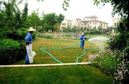 城市绿化日常养护管理的建议