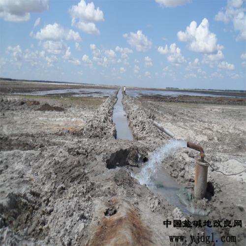 磷石膏改良盐碱棉田应用效果