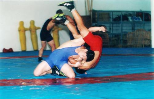 摔跤运动员专项体能技能的训练方法,排球的体能训练特点是什么？