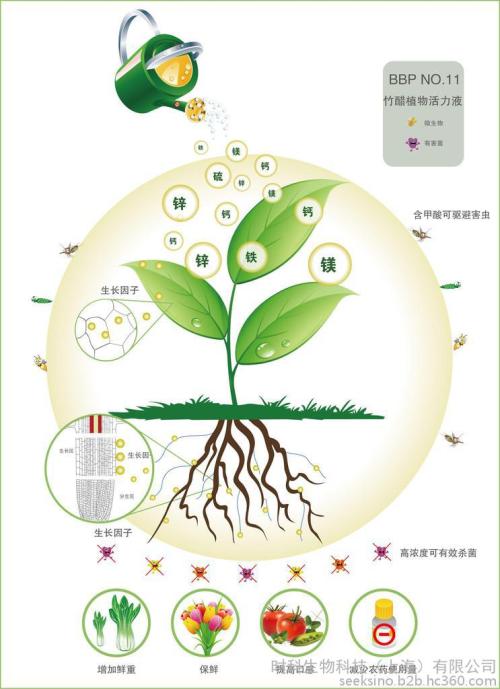 分析与探讨植物保护技术与病虫害的综合治理