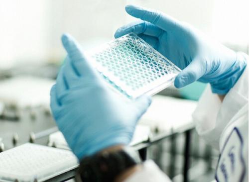 浅析现代生物技术可能带来的生物安全问题, 研究性学习:转基因生物与生物安全  请具体点！