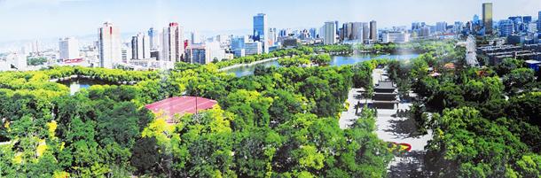 现代城市园林绿化中存在的问题和优化策略