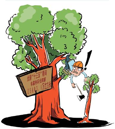 森林砍伐区木材生产管理问题与对策,有卖木材的程序吗？