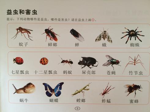 梨园区域概况及害虫材料与方法研究