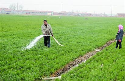 2014年辉县市小麦春季麦田管理工作探讨