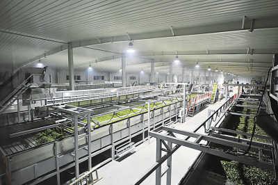 智能化仓储管理应用在人民银行发行库日常管理中的运用