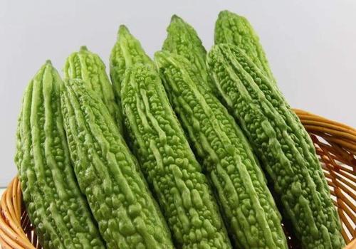 农作物种植技术中的要点分析