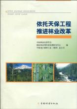 林业改革推进现状分析,中国林业体制改革的时间和主要内容是什么？
