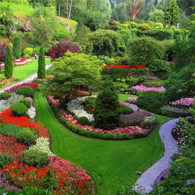 浅谈在园林绿化中植物造景的实际运用