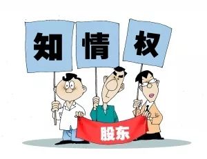 股东行使账簿查阅权的目的需具备正当性,如何行使股东查阅会计账簿的权利