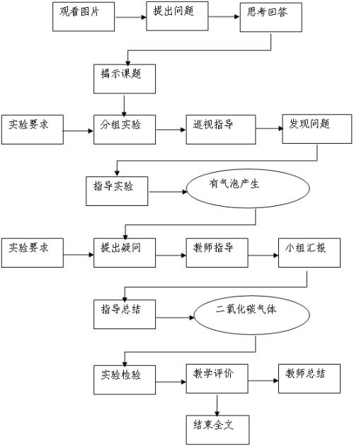 化学教学中实施分层教学的基本过程及作用