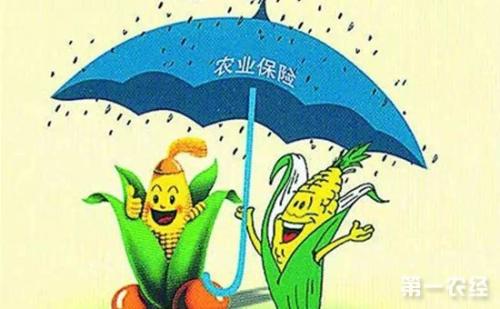 我国化学农业的不良影响与抑制对策