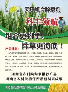 分析水稻除草剂使用时安全剂的保护作用,水稻直播除草剂的安全性