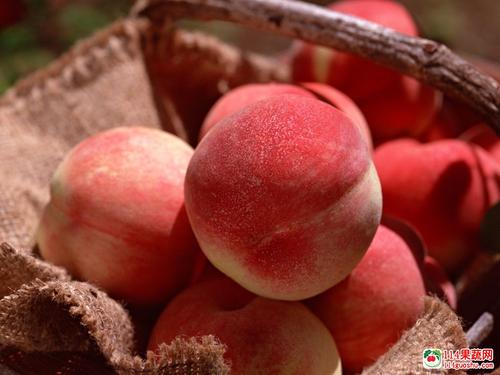 探讨肥城市肥城桃产业的发展问题,什么是佛桃？