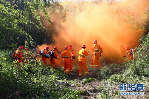关于解决森林扑火中持续发生伤亡事故的探讨,森林灭火应避免哪些危险地形