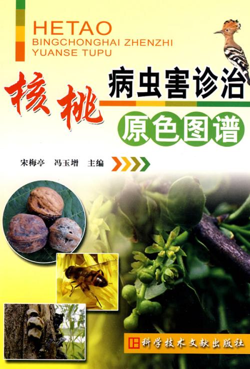 商洛市核桃病虫害现状及防治对策