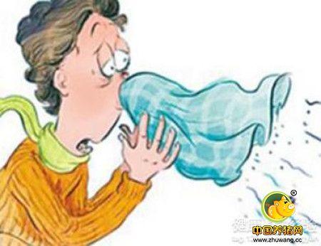 呼吸道疫病在猪饲养中的病因和防治,如何治疗猪瘟？