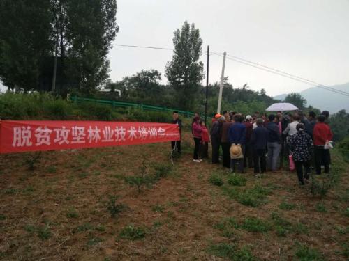 林业扶贫模式及安徽省实践