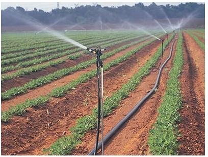 浅析农作物需肥规律及根外施肥技术