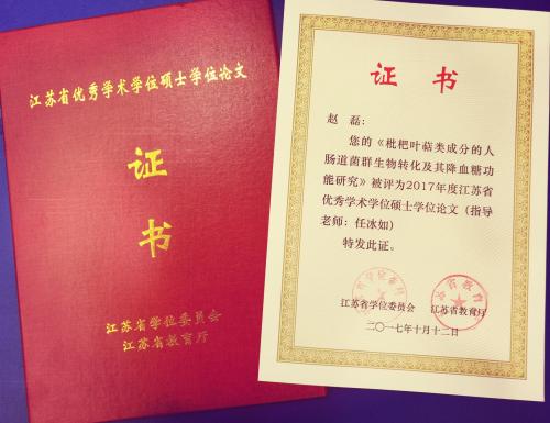 社会工作硕士论文（精选6篇）,我能为社会工作专业编写硕士论文案例吗？