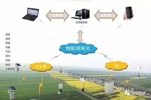 “互联网+”生态农业的发展障碍与对策