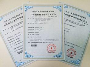 著作权对计算机软件的保护方法探究