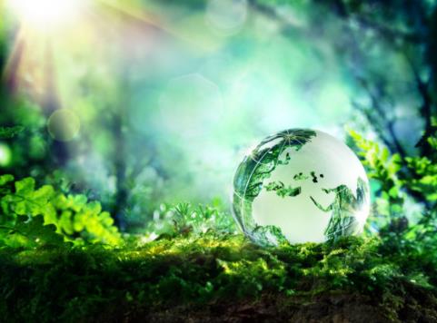 人工智能和图书馆可持续发展