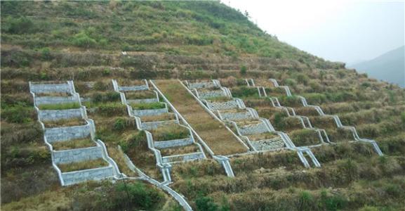 坡耕地水土流失治理问题探析,坡耕地水土流失综合治理包括哪些内容