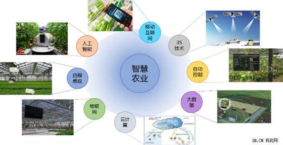 分析电商发展模式应用农业经济的可行性