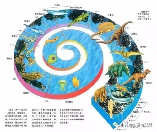 体育自然价值的复归还原分析