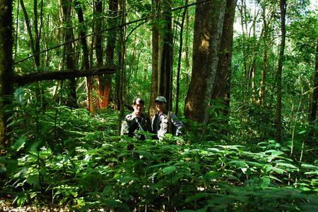 探讨现代营林中植物保护的的作用和措施,在保护区种植园林植物时，建造遮荫棚的作用是什么？