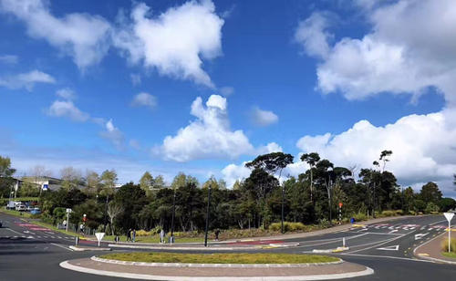 管理学原理论文（研究热点6篇）,管理原则