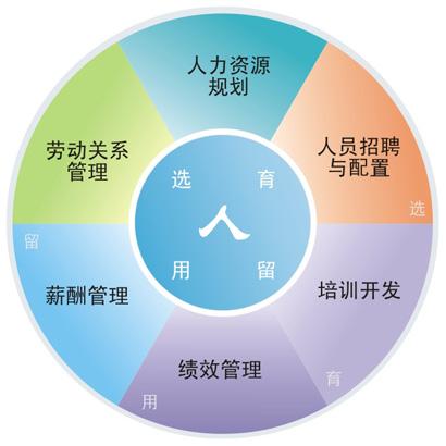 小企业人力资源管理问题与可持续发展策略