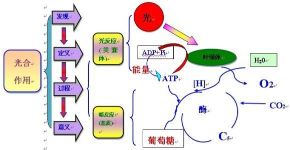 幼儿园舞蹈教学现状与改善策略