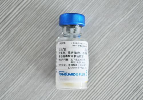 新型鸭细小病毒疫苗研究结果,福建省农业科学院研制的番鸭细小病毒疫苗在哪里...